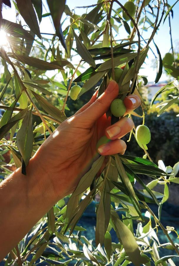 B&B Marijana Malinska Ngoại thất bức ảnh